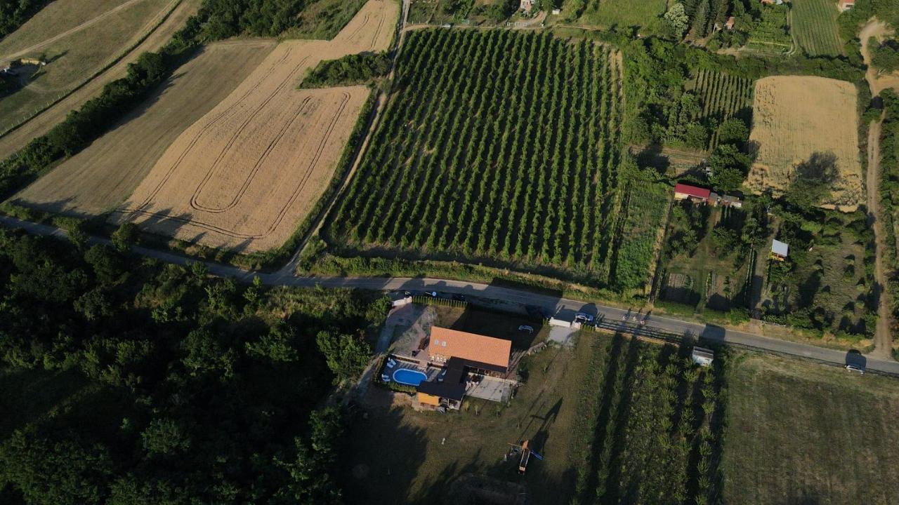 Villa Fruska Sremski Karlovci Exterior foto